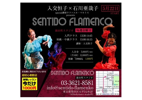 Sentido Flamenco